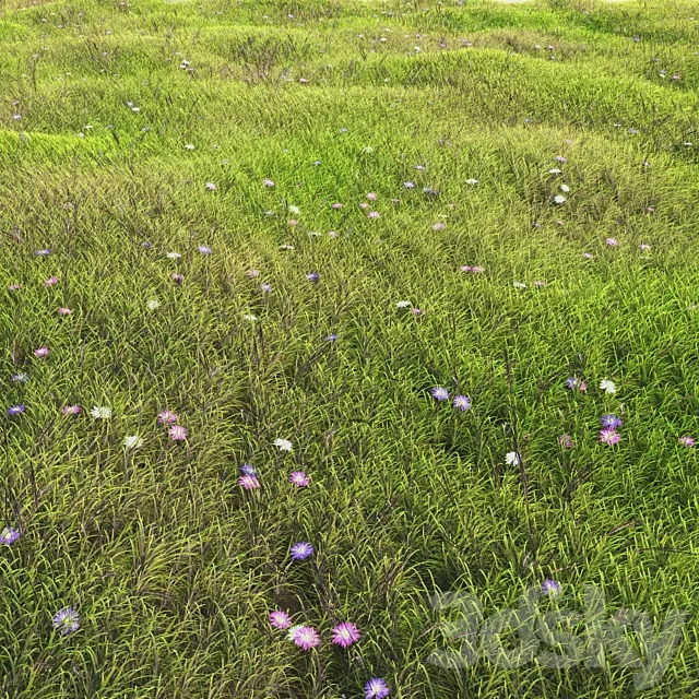 arch_grass 05 3ds Max