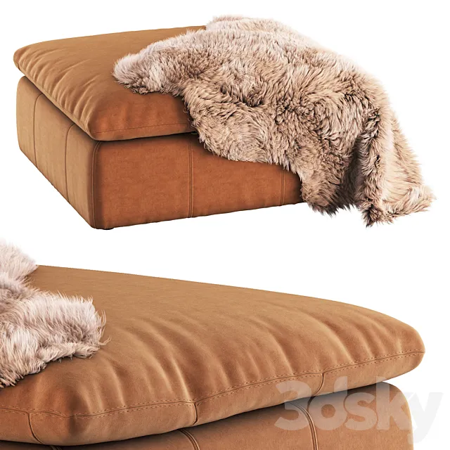 Aria Leather Ottoman by SIXPENNY 3ds Max