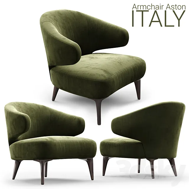 Armchair Minotti Aston 1 OLIVE 3DS Max Model