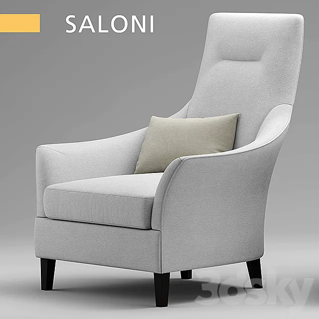 Armchair SALONI BW-135 3DS Max Model