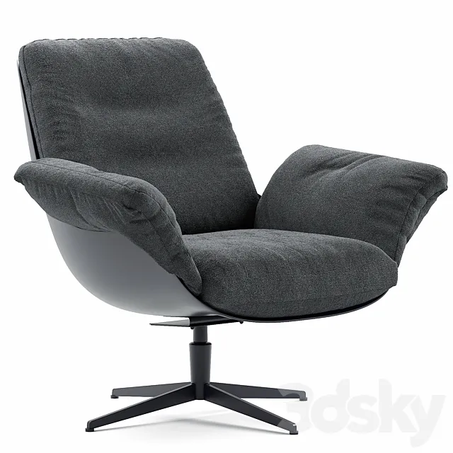 Armchair Softbird Sits 2 3ds Max