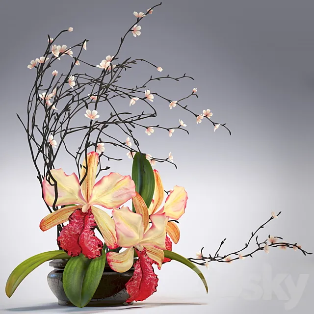 Arrangement of orchids 3DS Max Model