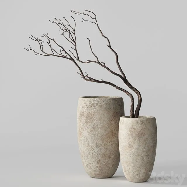 Artisan Rustic Vases with dry Branches 3dsMax Model