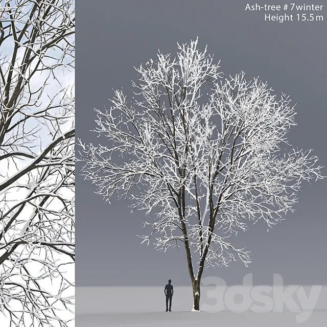 Ash winter 3DS Max Model