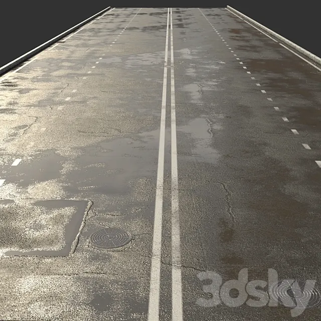 Asphalt with puddles 3DS Max Model