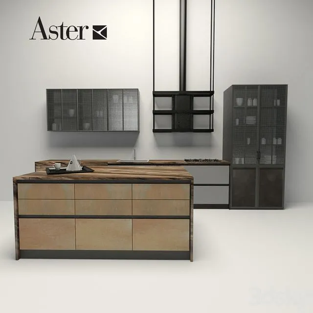 Aster – factory 3dsMax Model