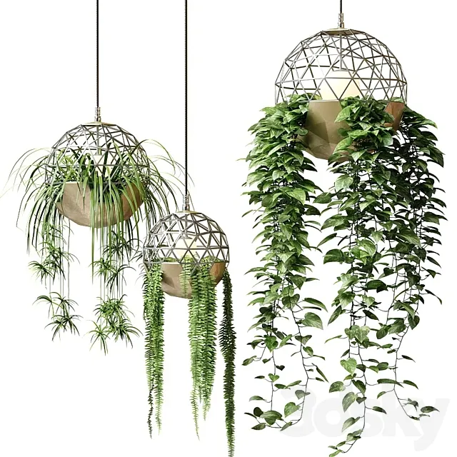 Atelier Schroeter luminaires with hanging plants 3DS Max Model