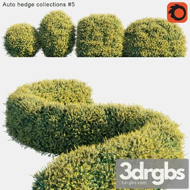 Auto hedge collections _1