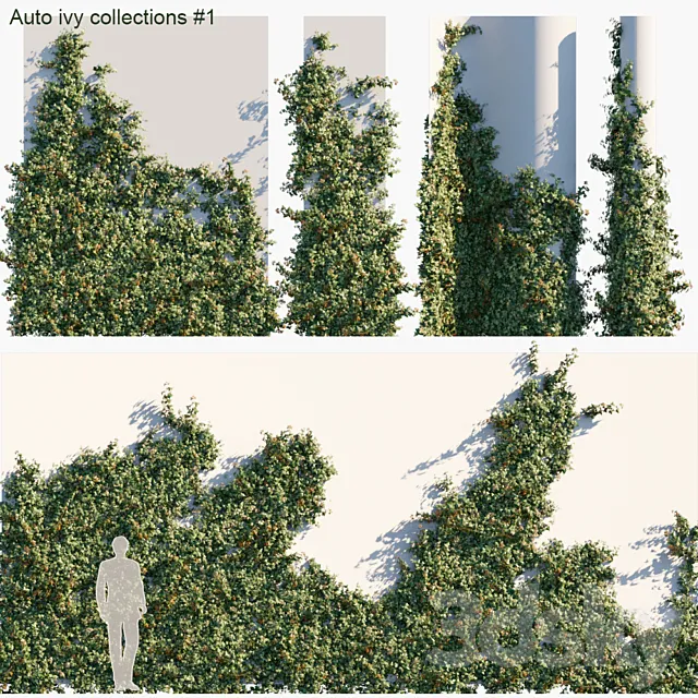 Auto ivy collections # 1 3DS Max Model