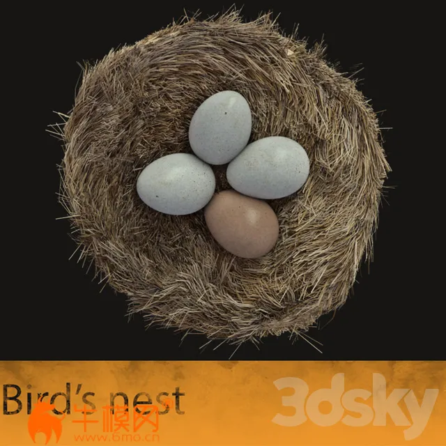 Bird’s nest – 1166
