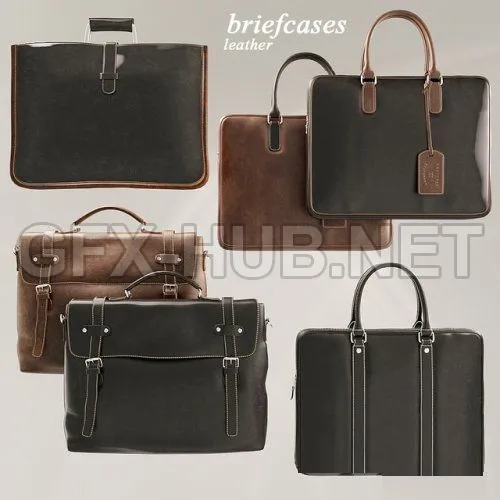 Briefcases Set (max 2011, fbx) – 1256