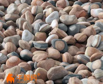 Collection of river pebbles (max 2011) – 1484