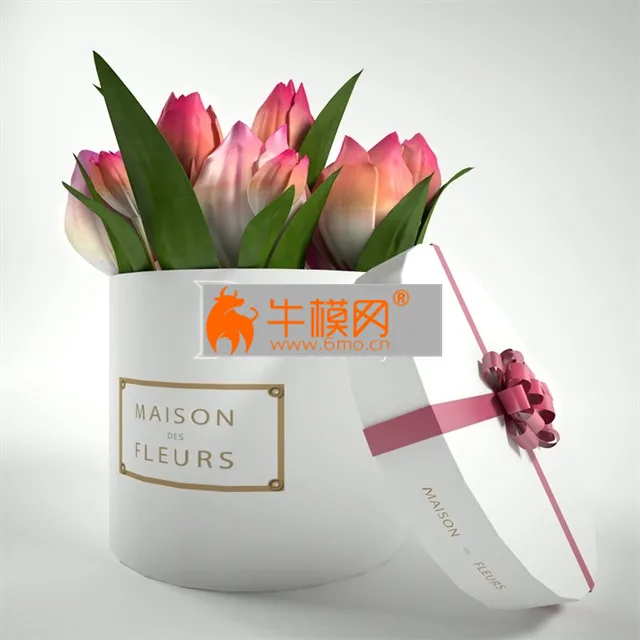 Gift box with tulips on Maison Des Fleurs – 1862