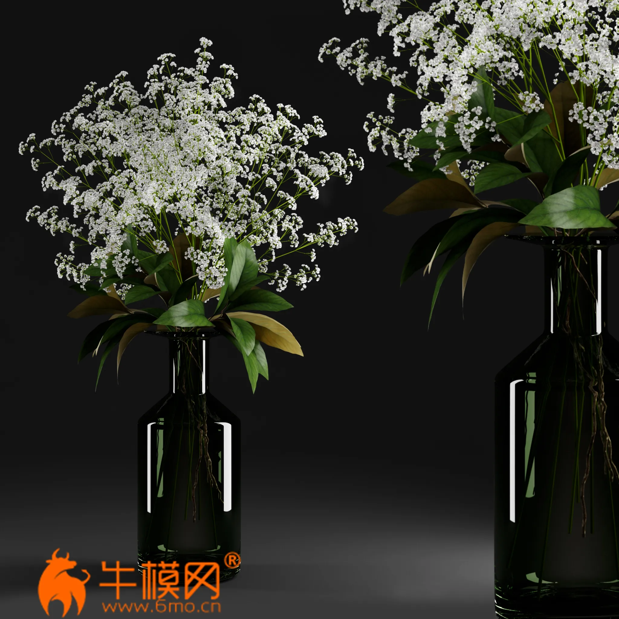 Gypsophila and magnolia leaves in bottle (MAX 2011, OBJ) – 1905