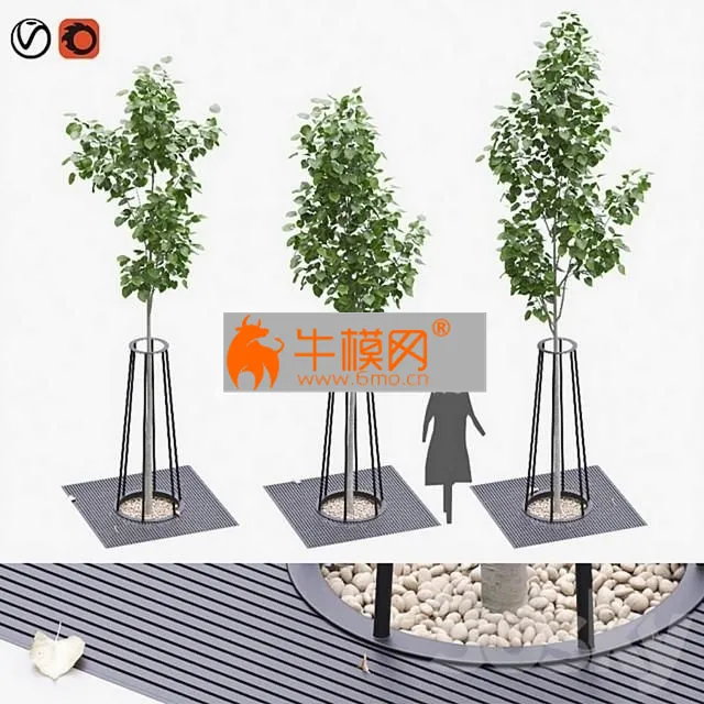 Landscaping kit with American linden 3.9 – 4.5m – 2120