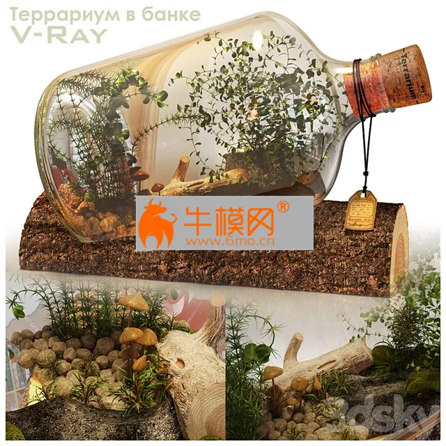 Terrarium in a Bottle – 2986