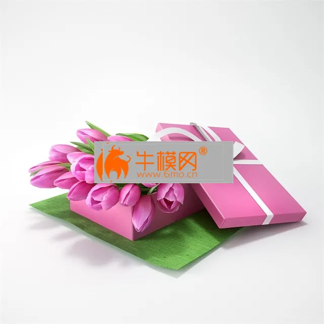 Tulips in a gift – 3039