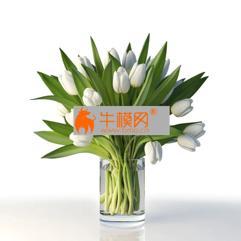 White tulips in a glass – 3167