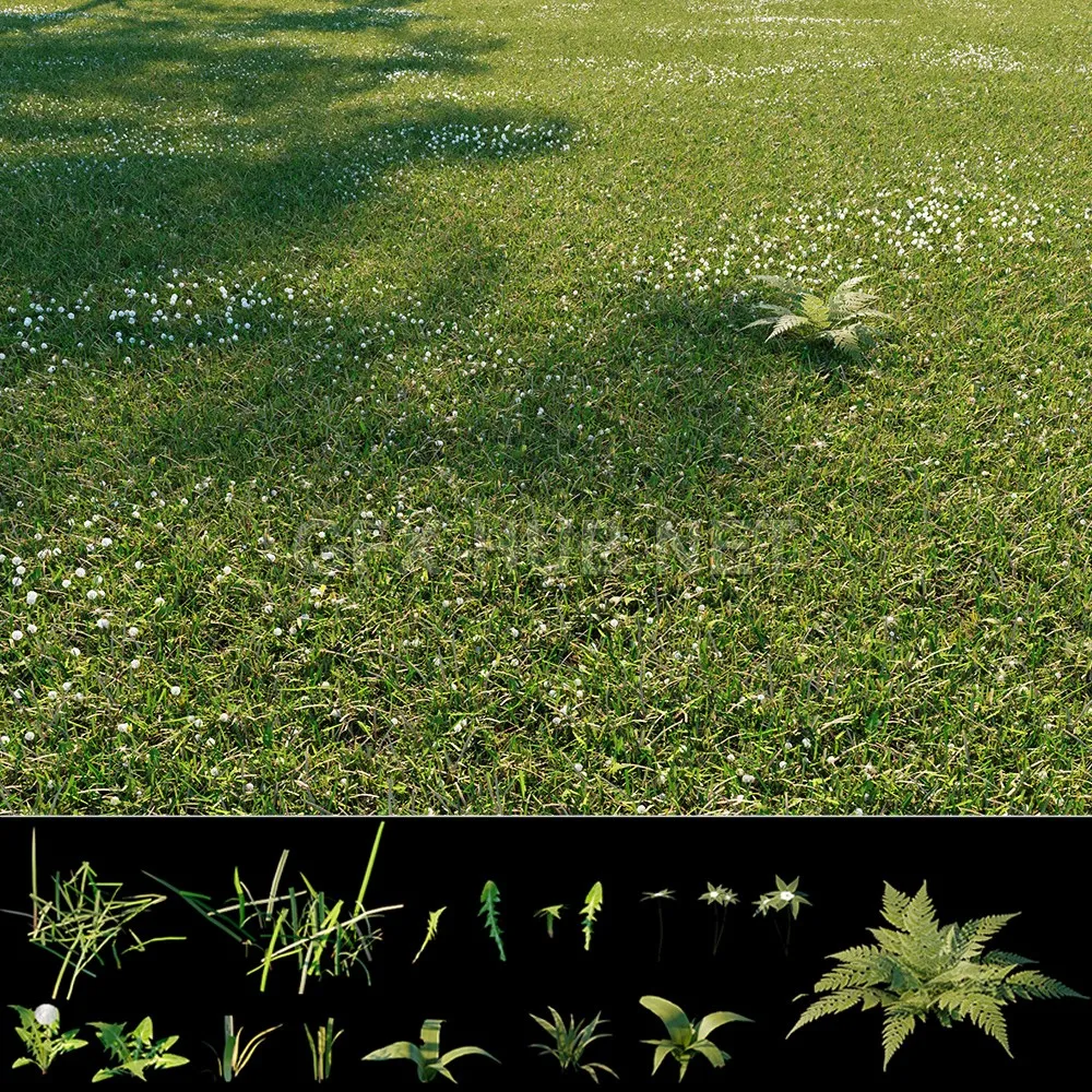 Wild grass exterior (max 2013) – 3169