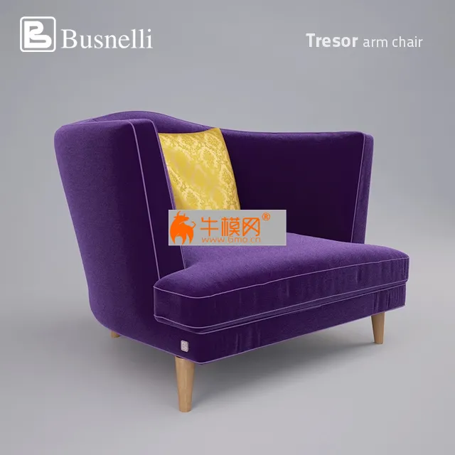 Busnelli tresor arm chair – 3958