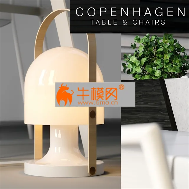Copenhagen Chairs & Table – 4026