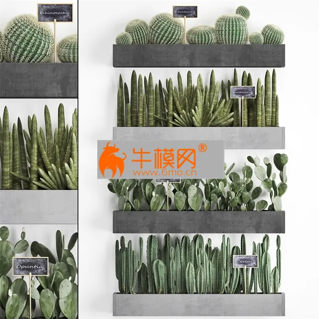 Cactus set wall decor vertical garden 43 – 4593