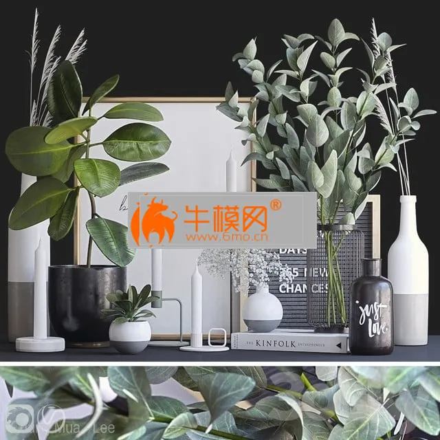 Decorative set with ficus and eucalyptus – 4746