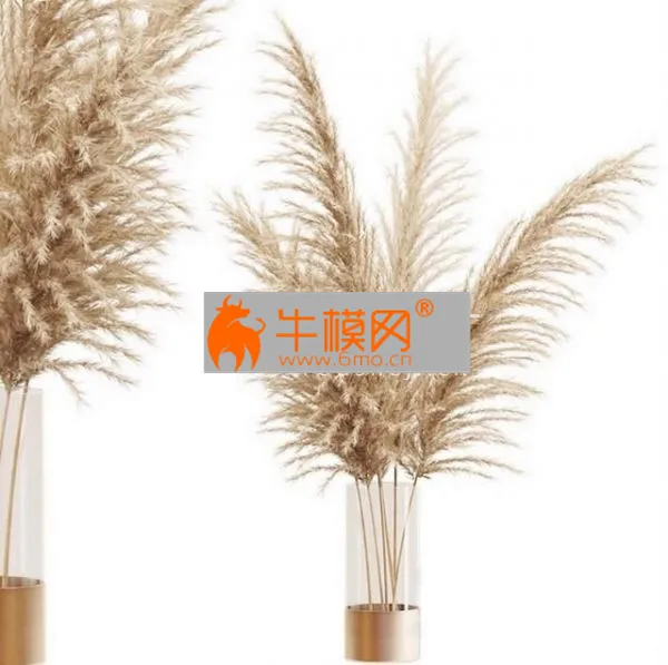 Dried flower pampas grass in glass gold vase – 4970