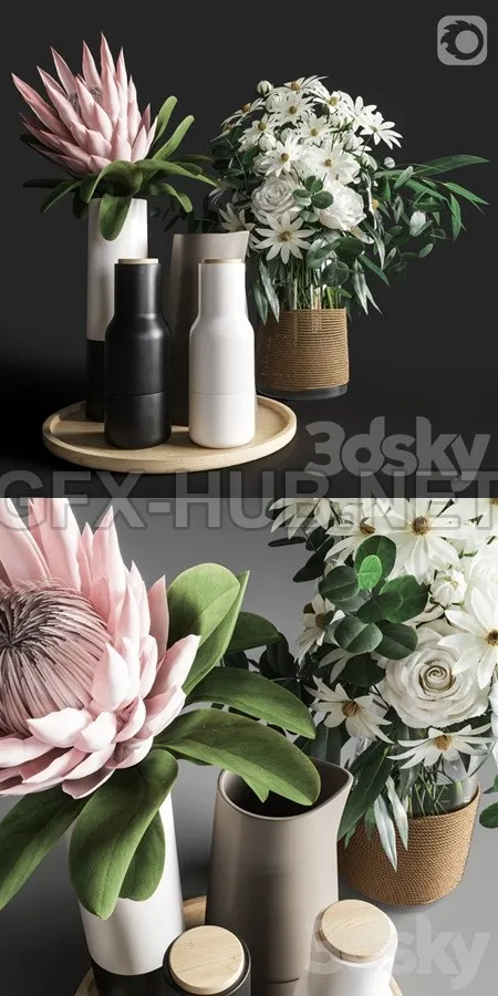 Flower Set 003 Protea and Roses – 4978