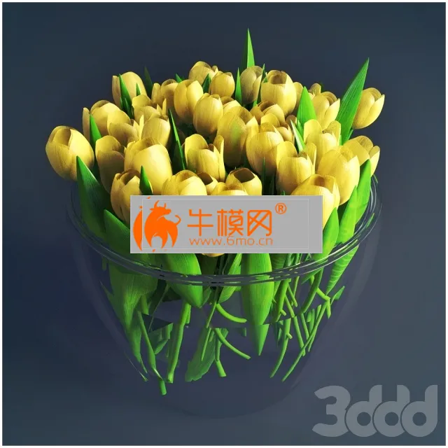 Flowers tulips – 4988