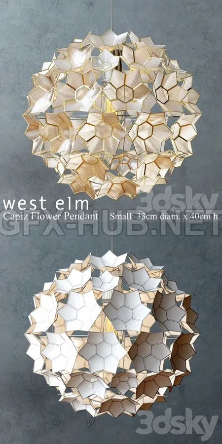 West Elm Capiz Flower Pendant – 5008