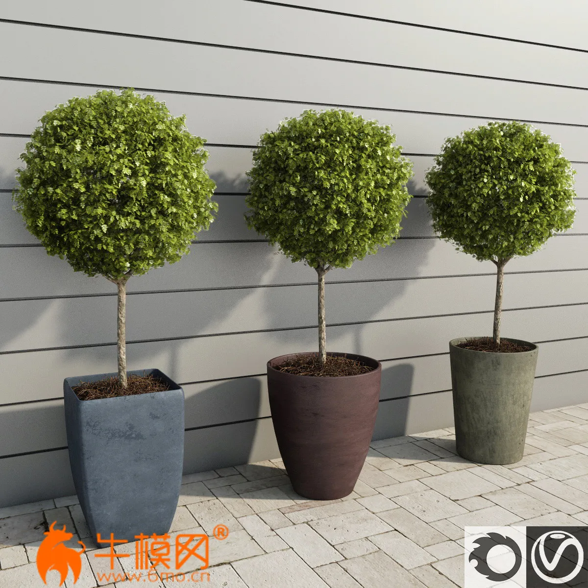 Amb_Plants for Hotels andamp – 5660