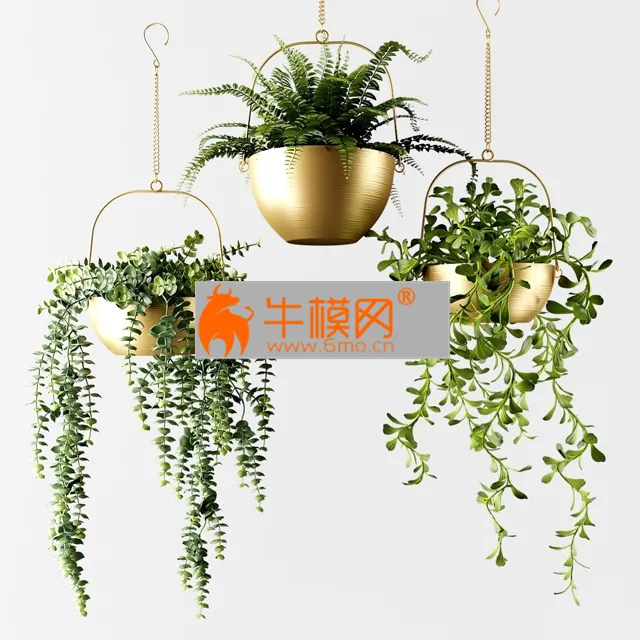 Ampel plants in bronze flower pots – 5661