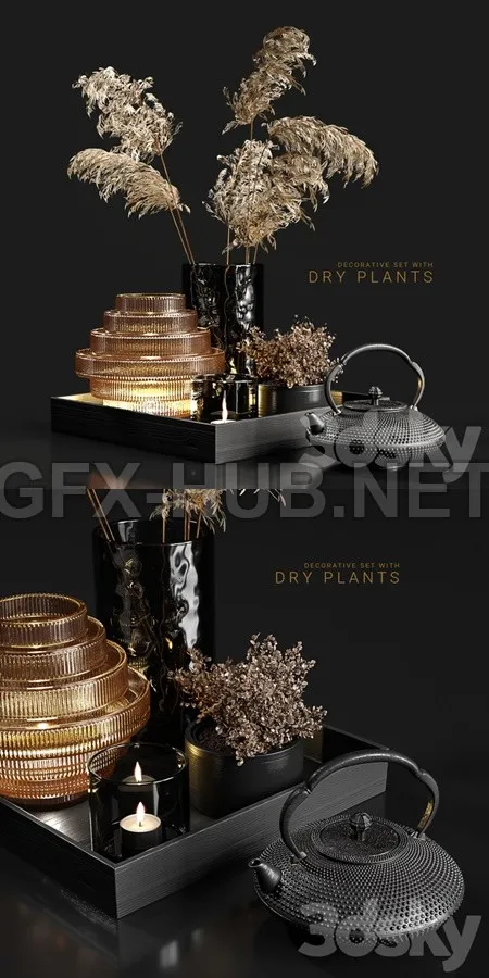 Decorative set with dry plants 3 – 5695