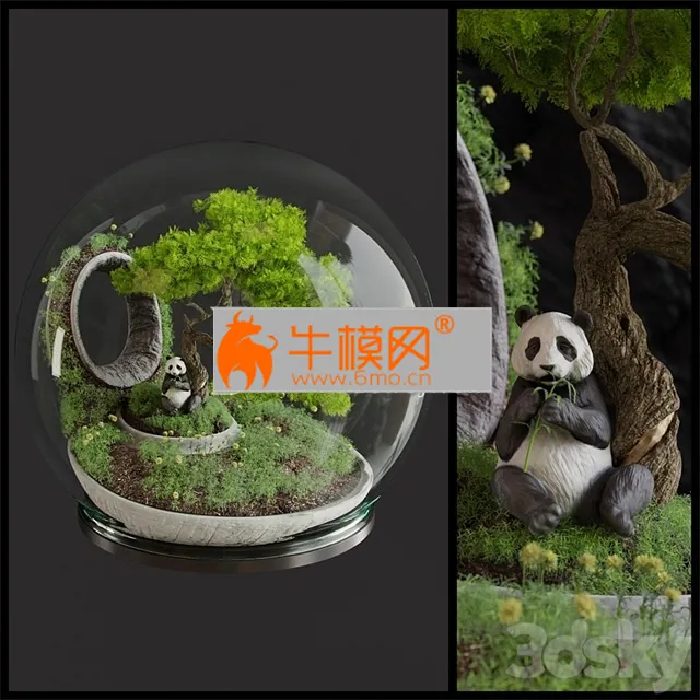 Florarium Bonsai – 5703