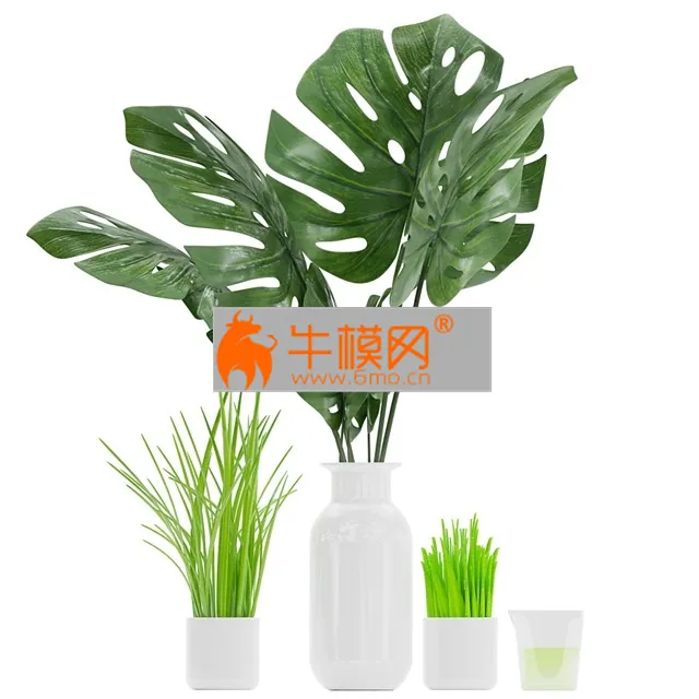 Plant 04 (monstera, grass, aloe vera) – 5731