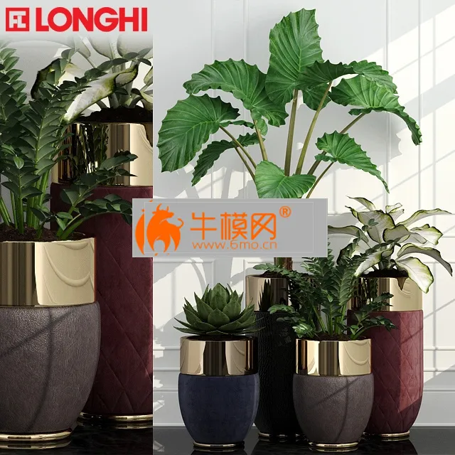 Plant set Longhi – 5770