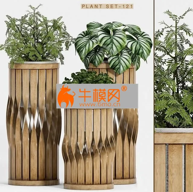 Plant set-121 – 5772