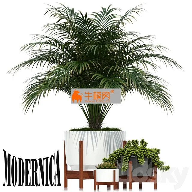 Plants collection 68 Modernica pots – 5812