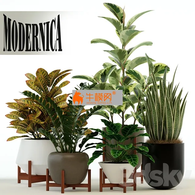 Plants collection 75 Modernica pots – 5813