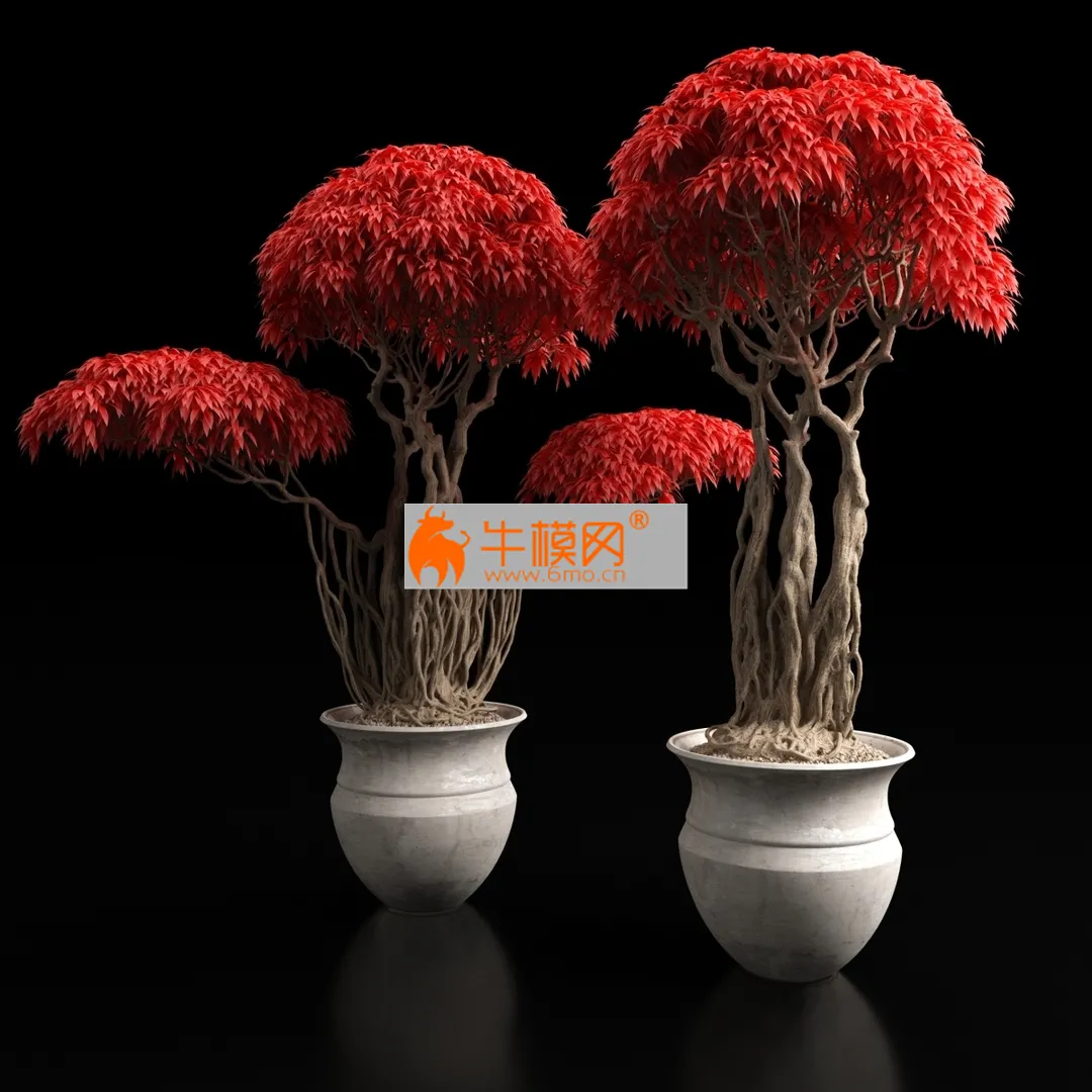 Red bonsai plants 3D model – 5830