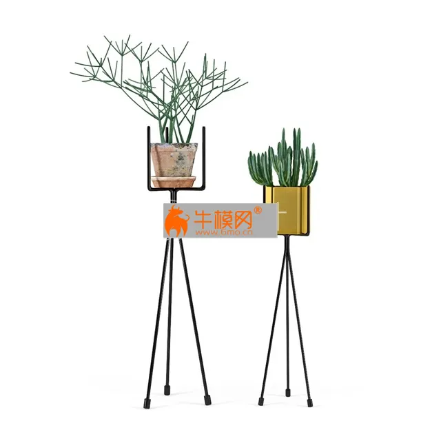 Shelf with Plants – 5838