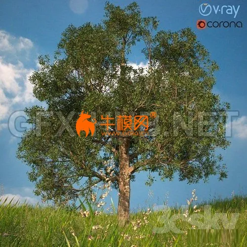 3D model of a tree No. 1 – 6514