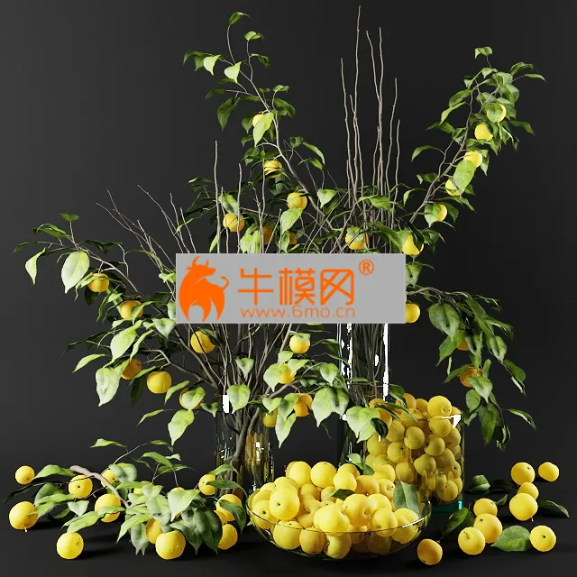 Bouquet of Chinese apple tree branches with yellow apples – 6523
