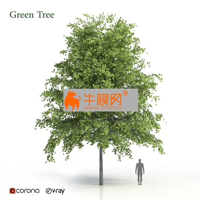 Green Tree hi-poly – 6538