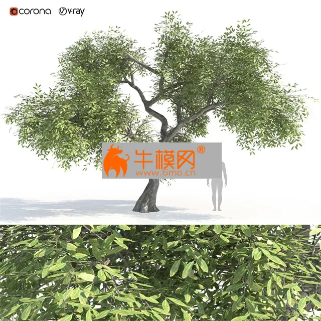 Hi-quality Green Tree – 6539