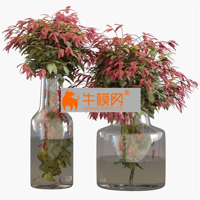 Branches in vases 26 Dwarf sacred bamboo – 6624