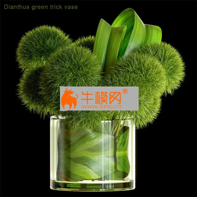 Dianthus green trick vase – 6630