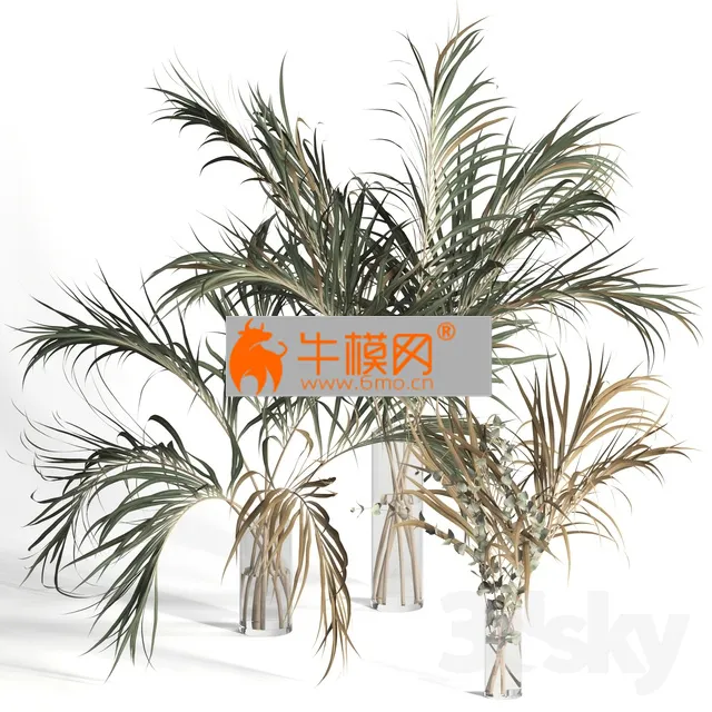 Dry palm leaves in vases – 6631
