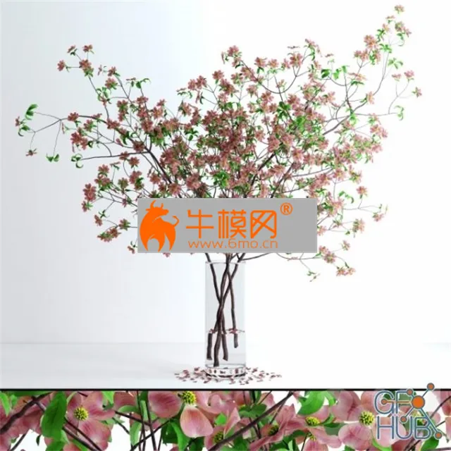 Glass vase with very realistic dogwood pink blossom branches – 6633